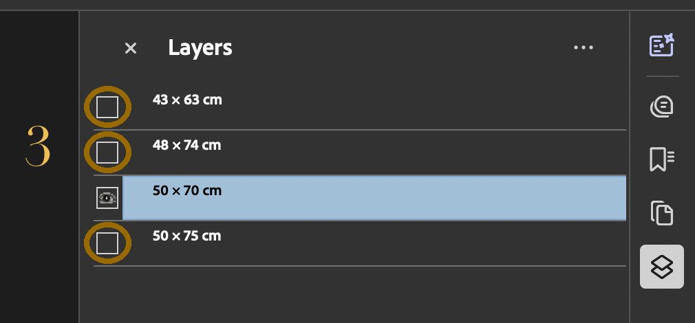 Adobe Acrobat Layers panel with only one size switched on